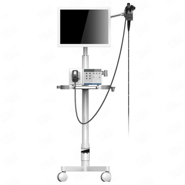 Professional Vet Endoscope