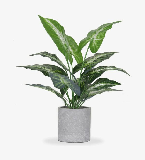 Artificial Plants (Type: Potted)