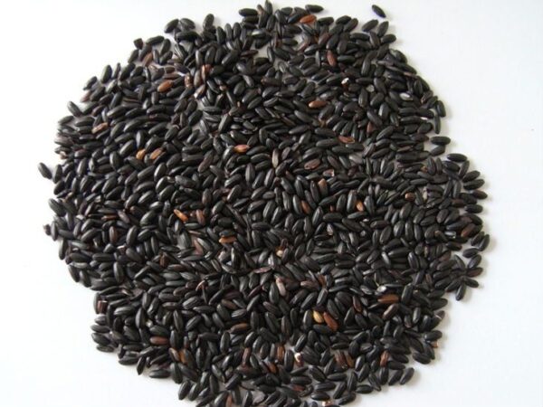 Black Rice (Forbidden Rice)