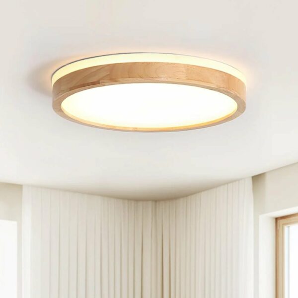 LED Ceiling Lights (Type: Flush Mount)