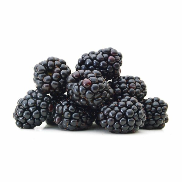 Organic Blackberries