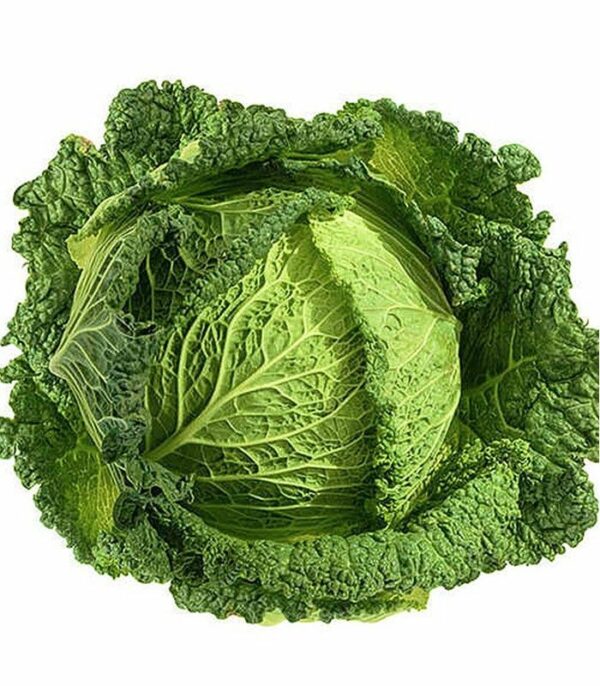 Organic Cabbage (Savoy Variety)