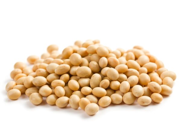 Organic Soybean Meal