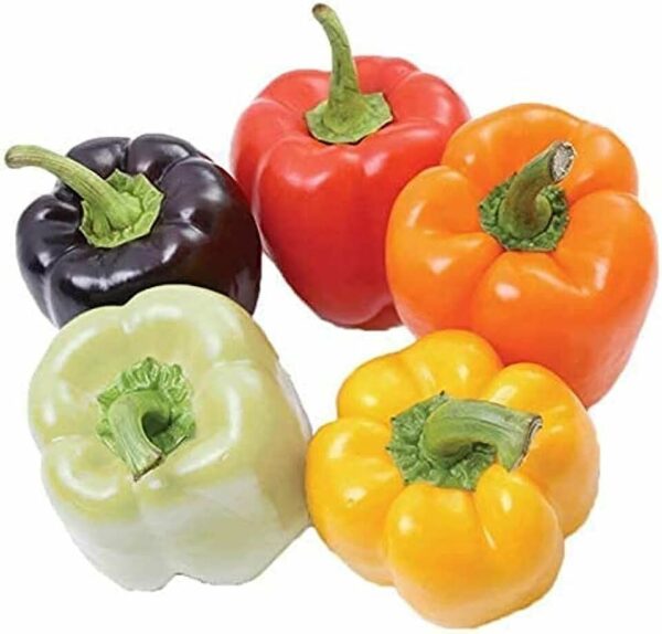 Rainbow Bell Peppers