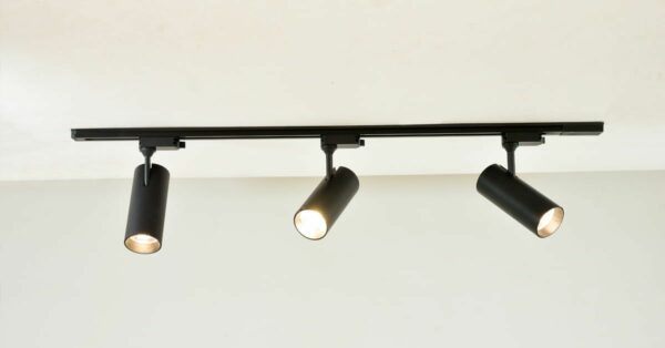 Track Lighting (Type: Adjustable)