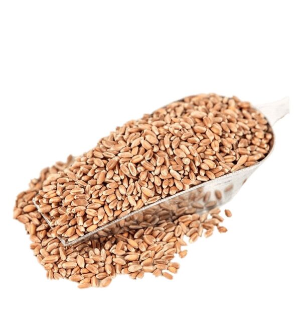 Whole Grain Buckwheat